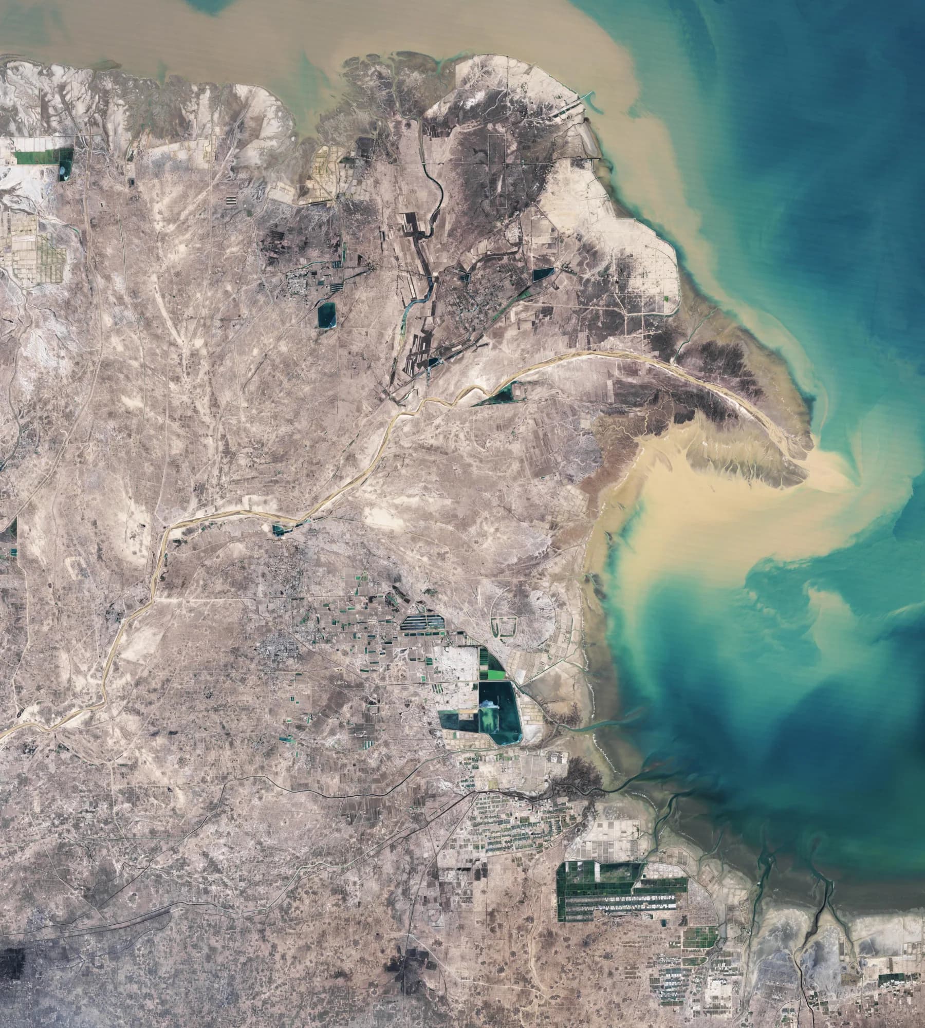 Yellow River Delta in 1989