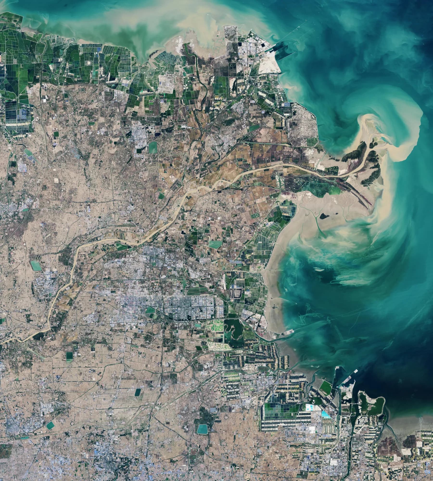Landsat view of the Yellow River Delta in 2020