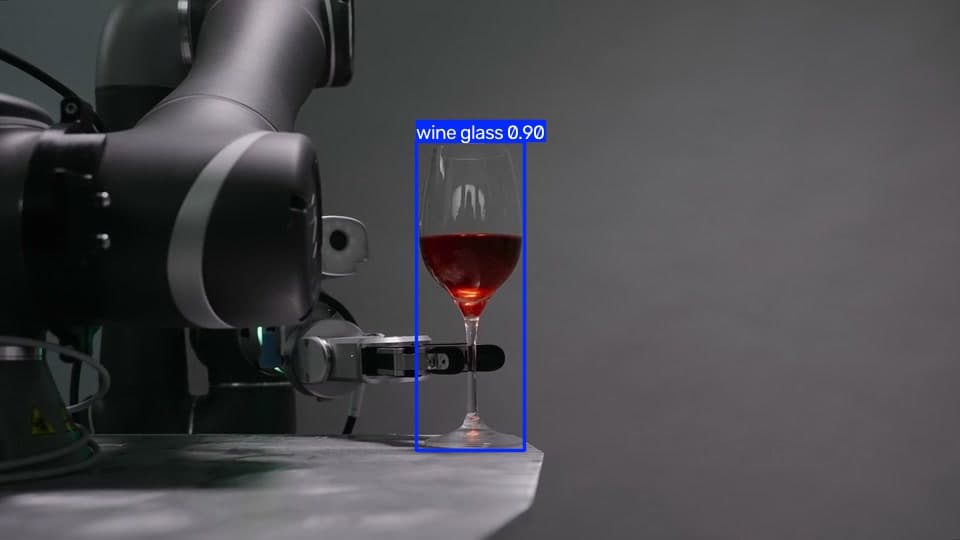 YOLO11 object-detection output identifying the wine glass